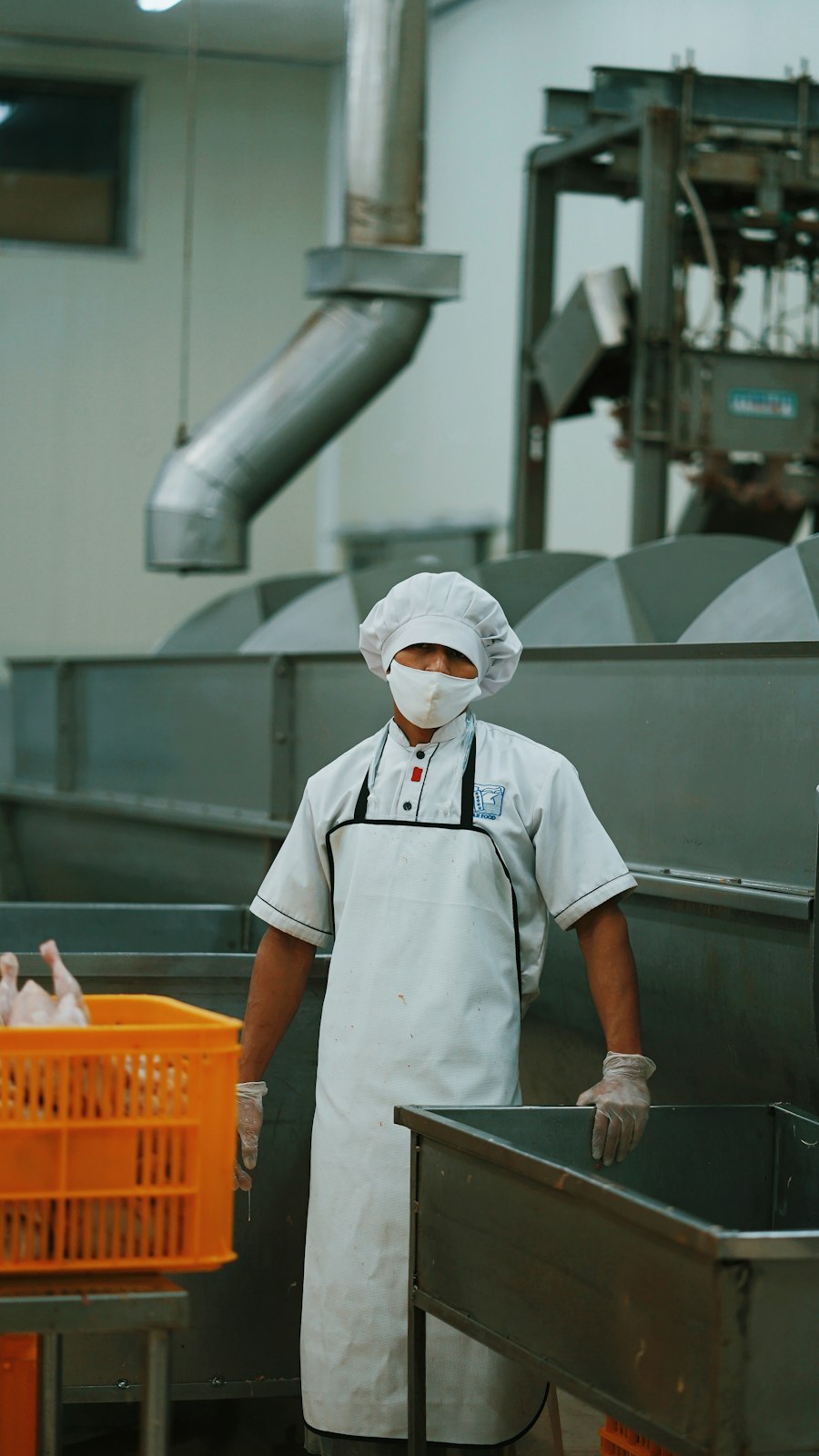 Food safety compliance worker